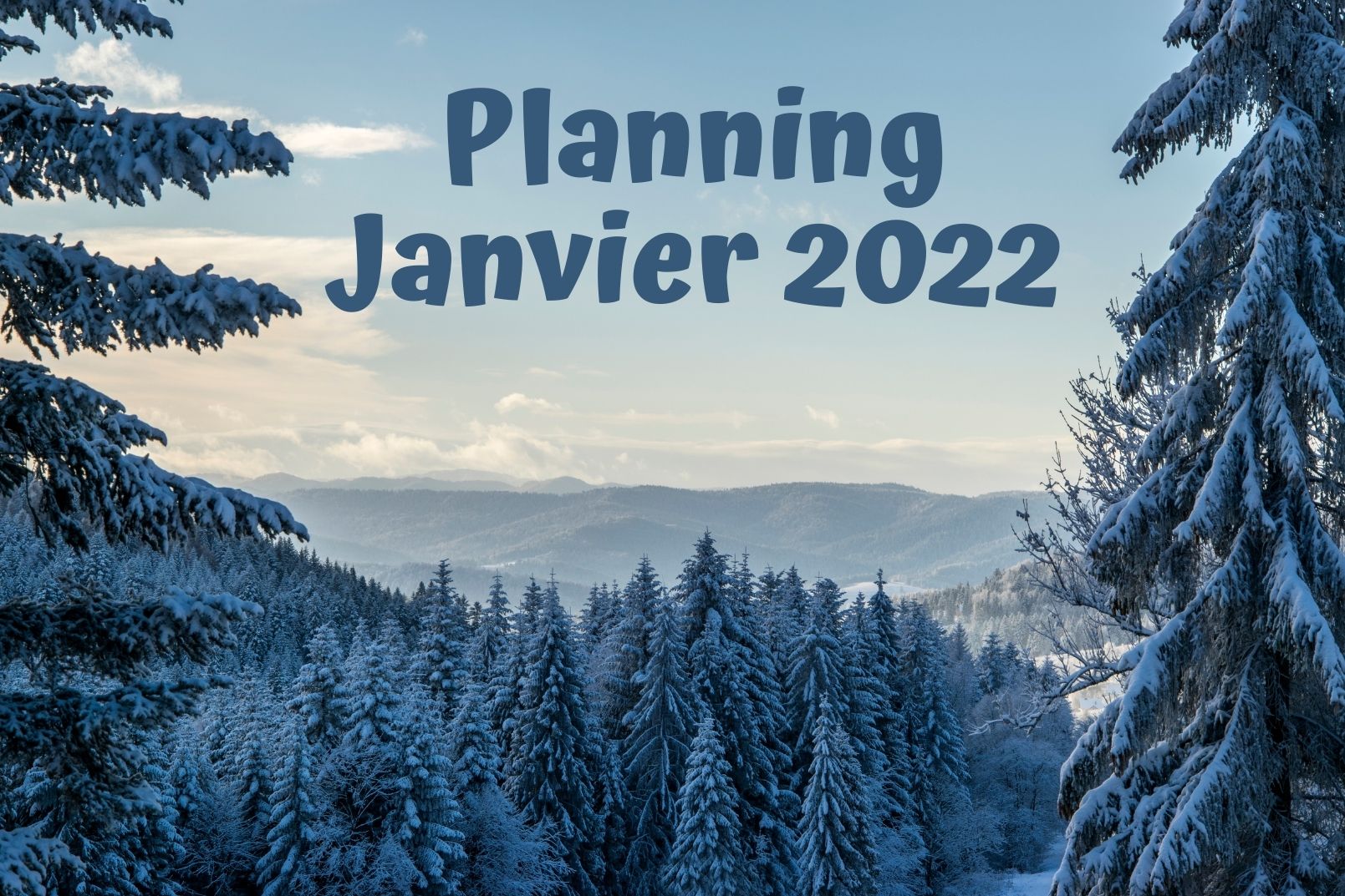 Planning janvier 2022
